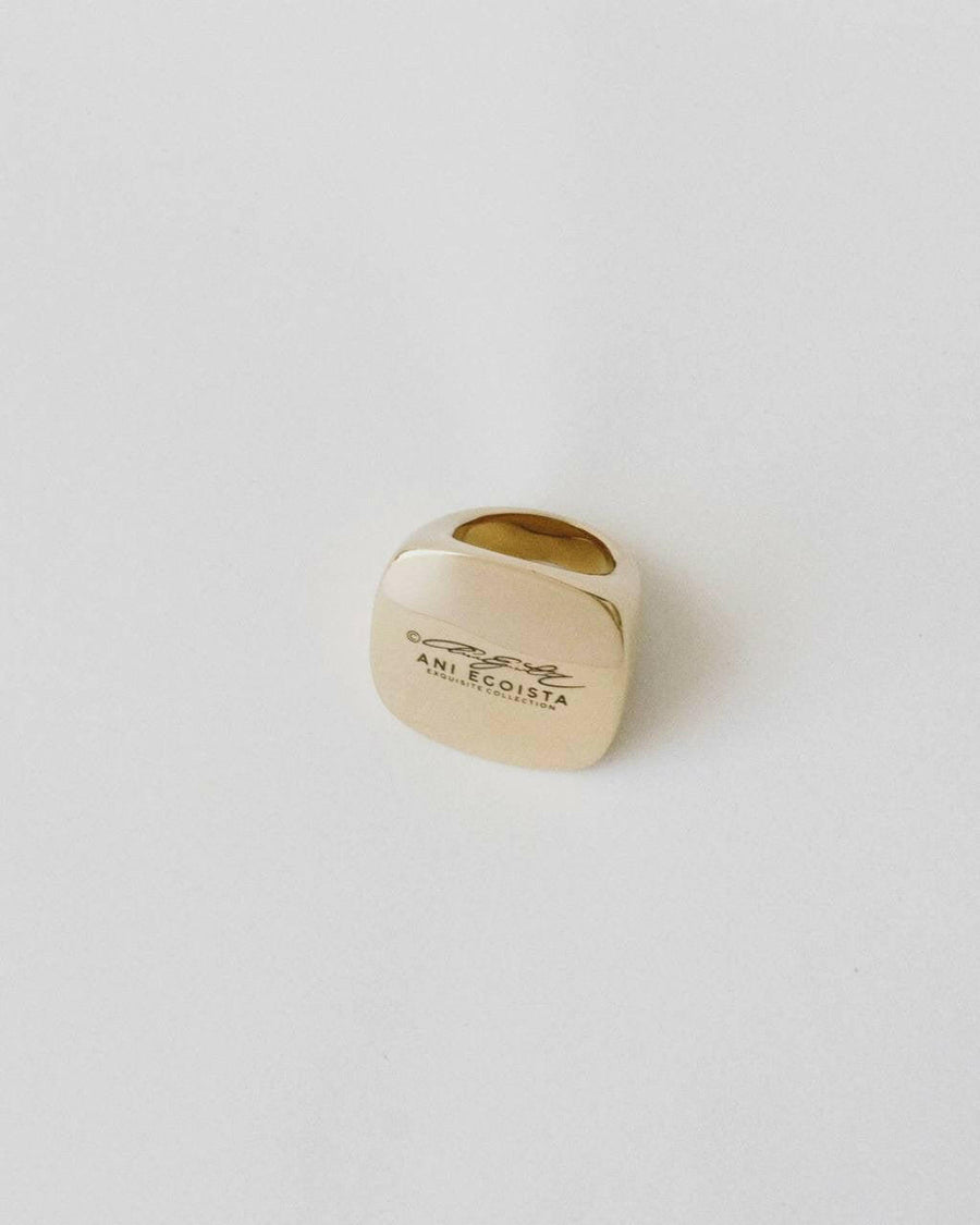 Ikigai | Ring | Gold Color | Innovative Steel