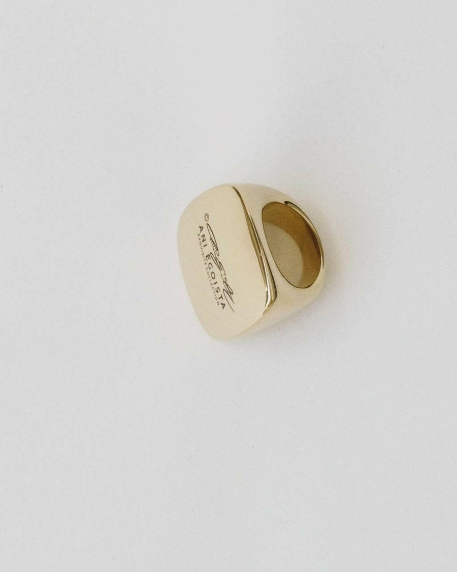 Ikigai | Ring | Gold Color | Innovative Steel